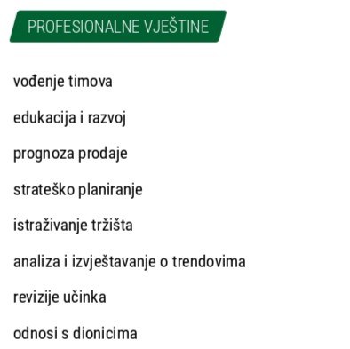 vjestine profesionalca u prodaji